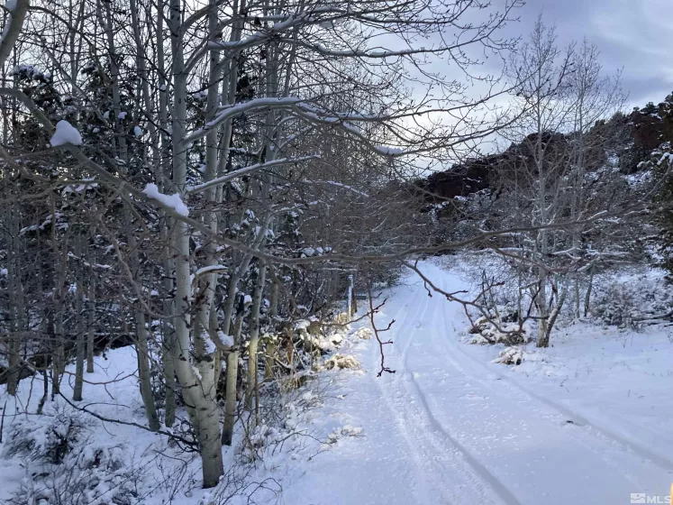 8531 Quaking Aspen, Reno, Nevada 89510, ,Land,Residential,Quaking Aspen,250005518