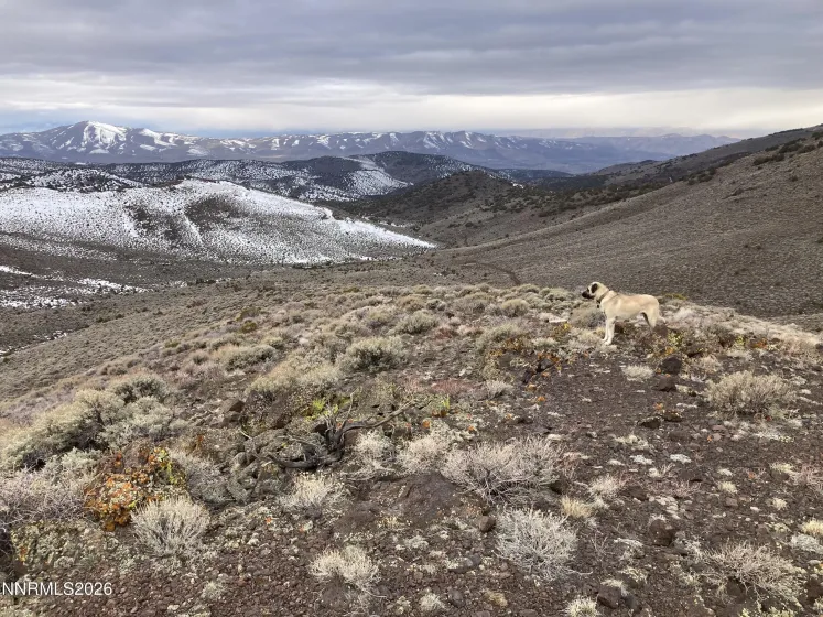 8531 Quaking Aspen, Reno, Nevada 89510, ,Land,Residential,Quaking Aspen,250005518