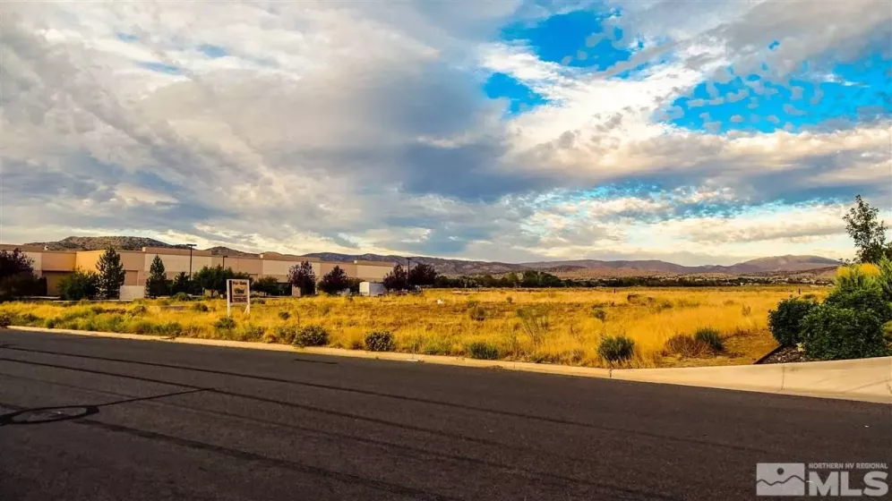 2563 Precision, Minden, Nevada 89423, ,Land,Residential,Precision,240004195