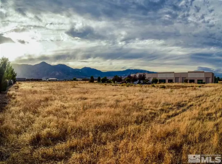 2563 Precision, Minden, Nevada 89423, ,Land,Residential,Precision,240004195