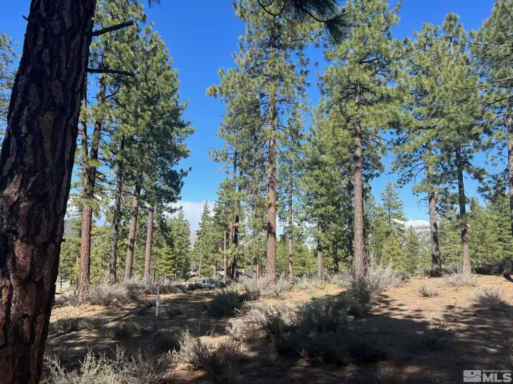 140 Walton Toll, Carson City, Nevada 89705, ,Land,Residential,Walton Toll,230004613