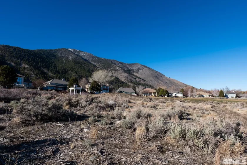 2456 Genoa Meadows, Genoa, Nevada 89411, 3 Bedrooms Bedrooms, ,2 BathroomsBathrooms,Residential,Residential,Genoa Meadows,240014231