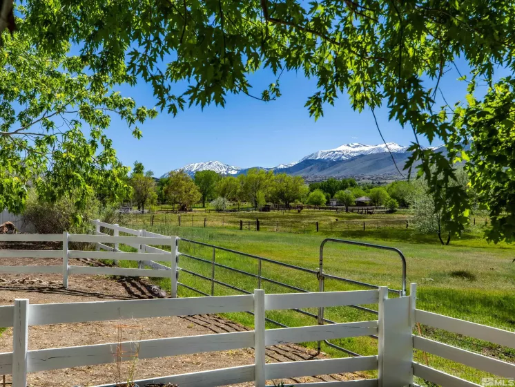 915 Maple Creek, Reno, Nevada 89511, 3 Bedrooms Bedrooms, ,4 BathroomsBathrooms,Residential,Residential,Maple Creek,240002748