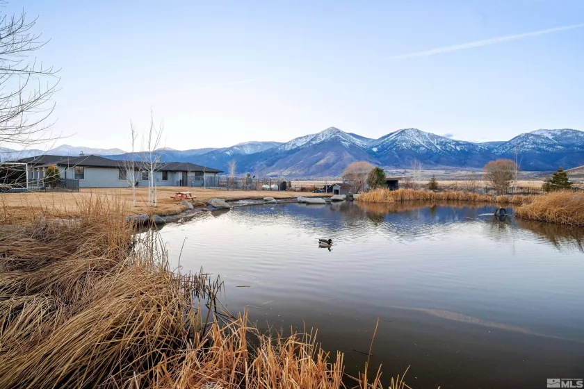 2960 Oasis Springs, Minden, Nevada 89423, 4 Bedrooms Bedrooms, ,4 BathroomsBathrooms,Residential,Residential,Oasis Springs,250000087