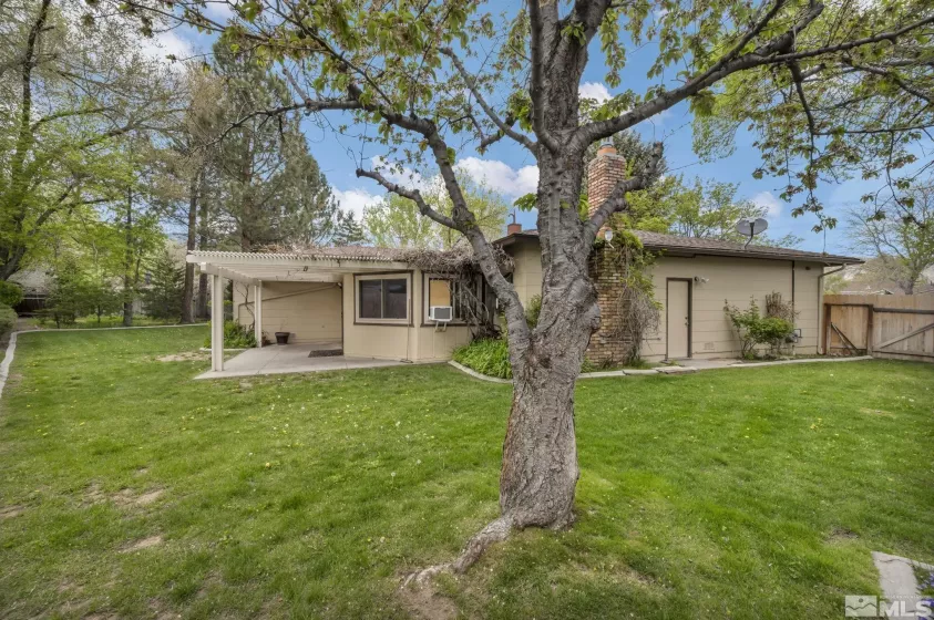 909 Norrie, Carson City, Nevada 89703, 3 Bedrooms Bedrooms, ,2 BathroomsBathrooms,Residential,Residential,Norrie,250005808