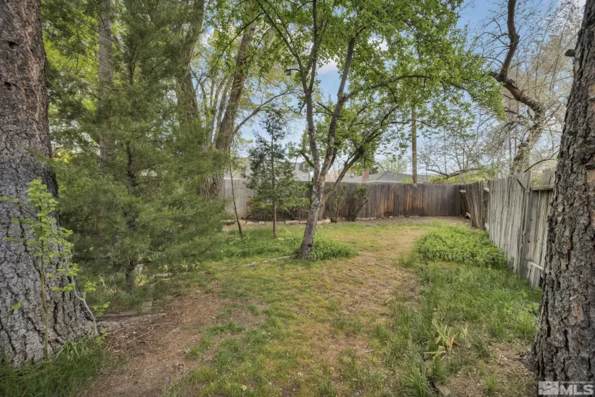 909 Norrie, Carson City, Nevada 89703, 3 Bedrooms Bedrooms, ,2 BathroomsBathrooms,Residential,Residential,Norrie,250005808