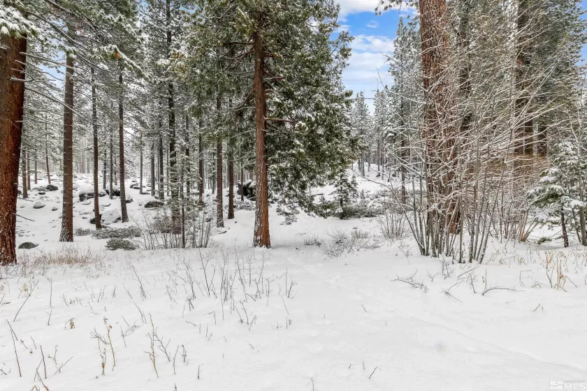 3390 Pine Hill, South Lake Tahoe, California 96150, 2 Bedrooms Bedrooms, ,3 BathroomsBathrooms,Residential,Residential,Pine Hill,250003862