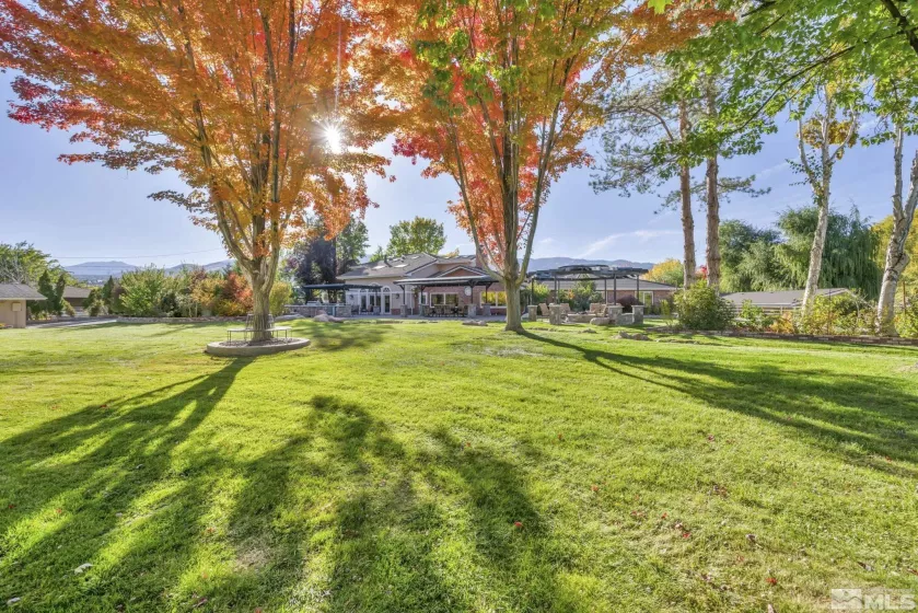 1865 Olive, Reno, Nevada 89511, 4 Bedrooms Bedrooms, ,4 BathroomsBathrooms,Residential,Residential,Olive,240013789