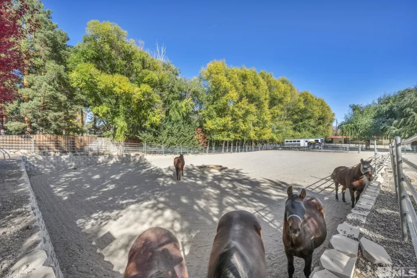 1865 Olive, Reno, Nevada 89511, 4 Bedrooms Bedrooms, ,4 BathroomsBathrooms,Residential,Residential,Olive,240013789