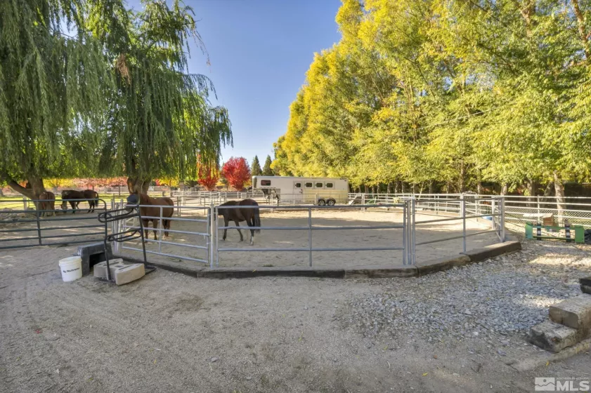 1865 Olive, Reno, Nevada 89511, 4 Bedrooms Bedrooms, ,4 BathroomsBathrooms,Residential,Residential,Olive,240013789
