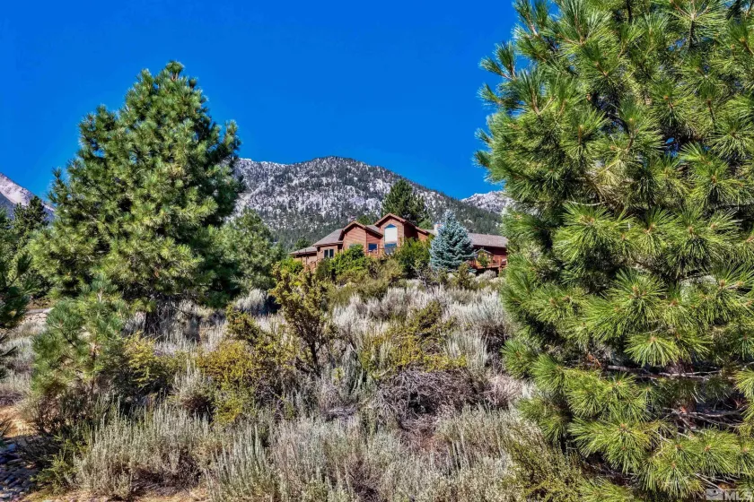 289 Five, Gardnerville, Nevada 89460, 4 Bedrooms Bedrooms, ,3 BathroomsBathrooms,Residential,Residential,Five,240010032