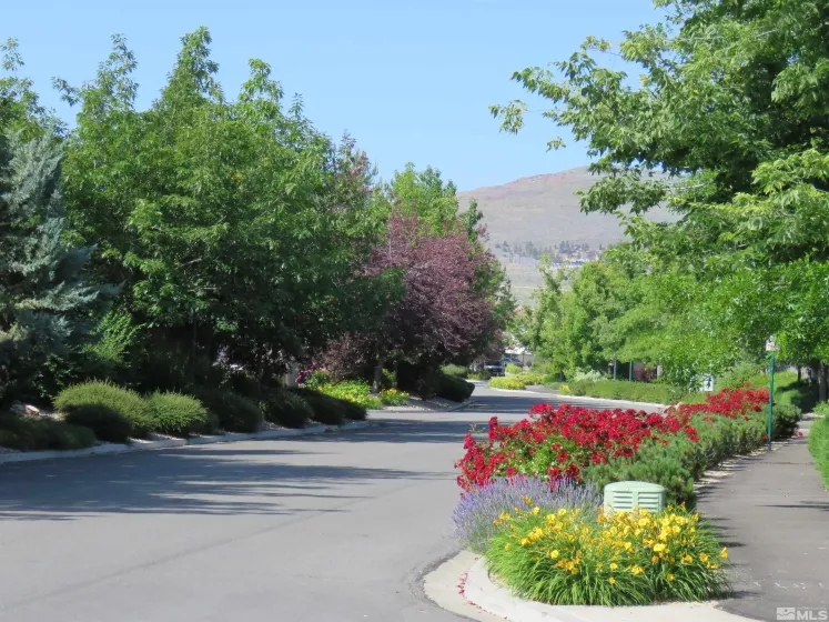 480 Dartmoor, Reno, Nevada 89521, 4 Bedrooms Bedrooms, ,3 BathroomsBathrooms,Residential Lease,Manufactured,Dartmoor,250005794