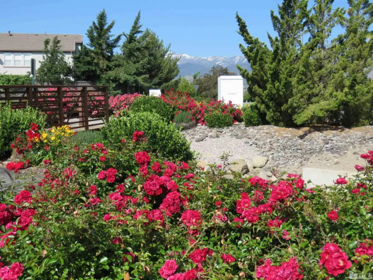 480 Dartmoor, Reno, Nevada 89521, 4 Bedrooms Bedrooms, ,3 BathroomsBathrooms,Residential Lease,Manufactured,Dartmoor,250005794