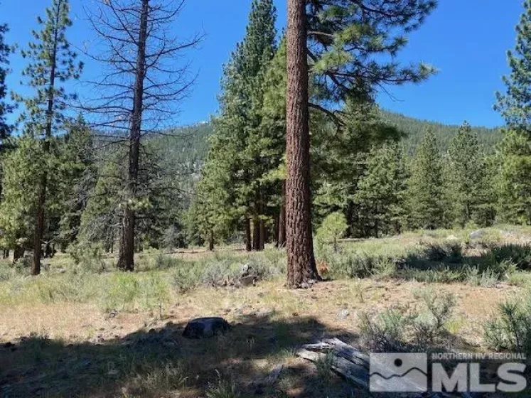 3584 Knob Point, Carson City, Nevada 89705, ,Land,Residential,Knob Point,250005831