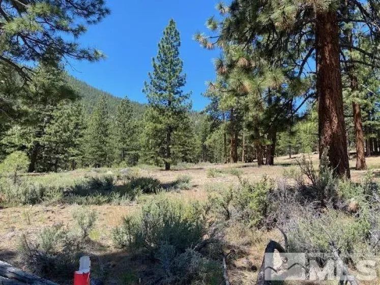 3584 Knob Point, Carson City, Nevada 89705, ,Land,Residential,Knob Point,250005831