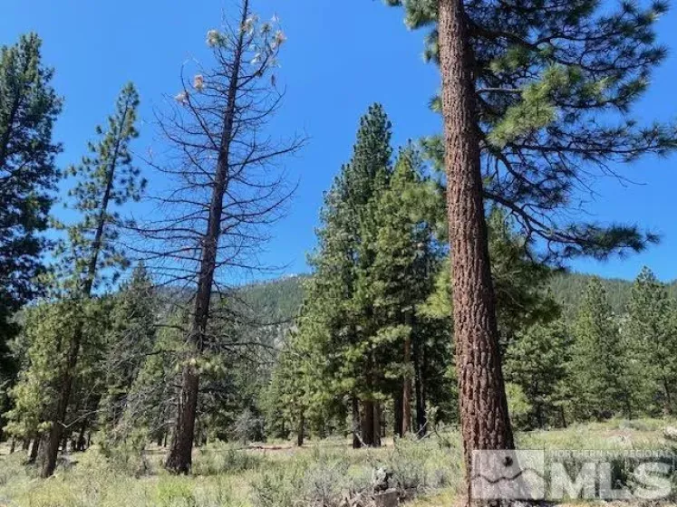 3584 Knob Point, Carson City, Nevada 89705, ,Land,Residential,Knob Point,250005831