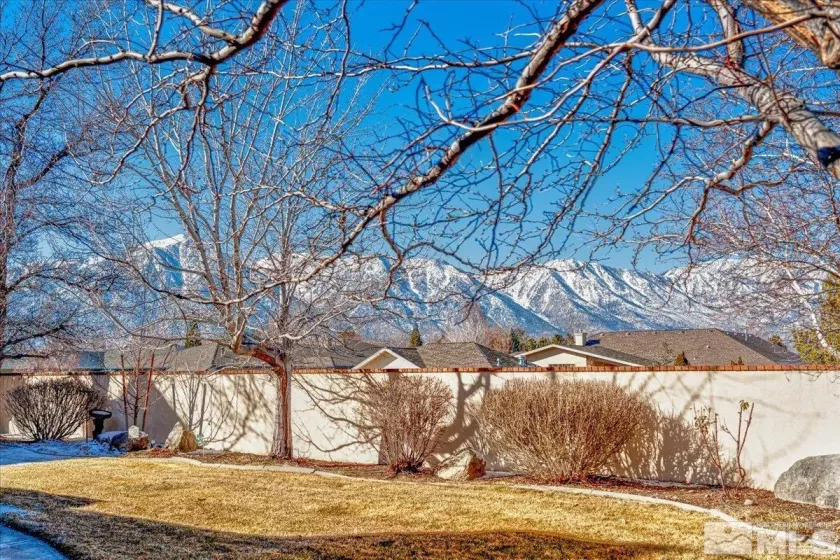972 Springfield, Gardnerville, Nevada 89460, 4 Bedrooms Bedrooms, ,4 BathroomsBathrooms,Residential,Residential,Springfield,250001090