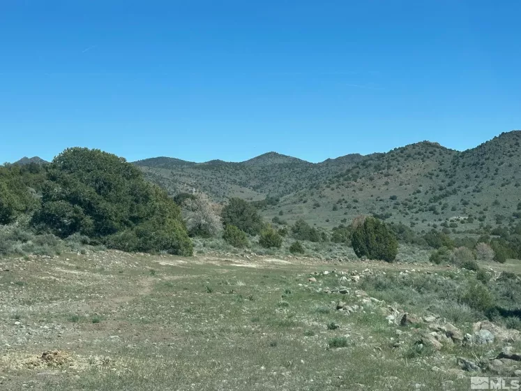 4490 Lousetown, Reno, Nevada 89521, ,Land,Residential,Lousetown,250005764