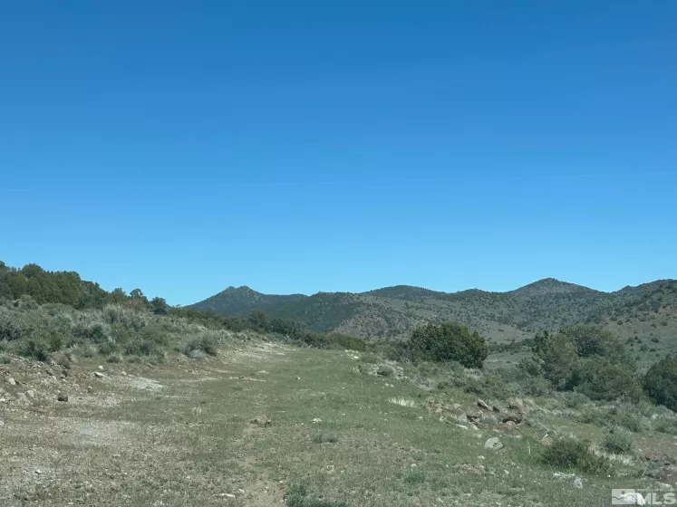 4490 Lousetown, Reno, Nevada 89521, ,Land,Residential,Lousetown,250005764