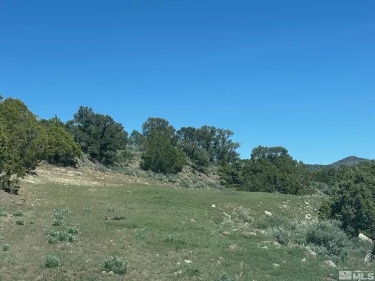 4490 Lousetown, Reno, Nevada 89521, ,Land,Residential,Lousetown,250005764