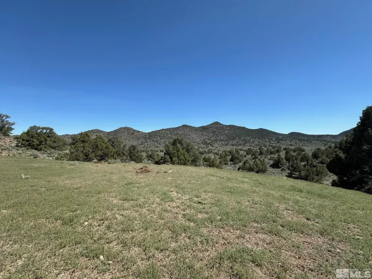 4490 Lousetown, Reno, Nevada 89521, ,Land,Residential,Lousetown,250005764