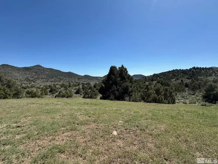 4490 Lousetown, Reno, Nevada 89521, ,Land,Residential,Lousetown,250005764