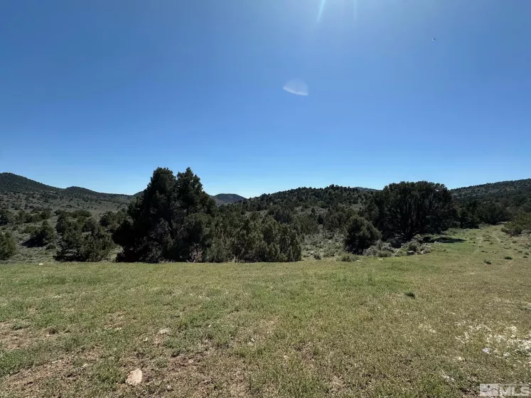 4490 Lousetown, Reno, Nevada 89521, ,Land,Residential,Lousetown,250005764