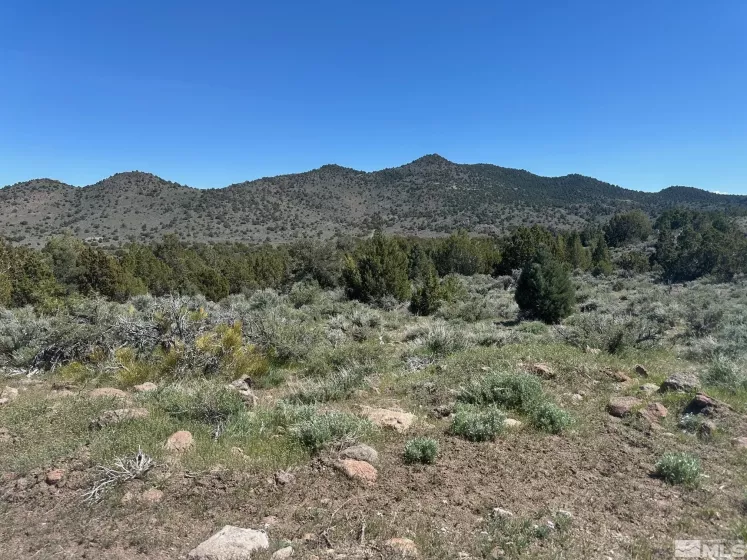 4490 Lousetown, Reno, Nevada 89521, ,Land,Residential,Lousetown,250005764