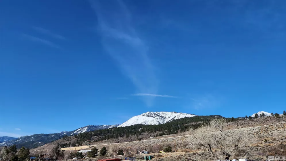 04608053 US Highway 395, Washoe Valley, Nevada 89704, ,Land,Residential,US Highway 395,240002096
