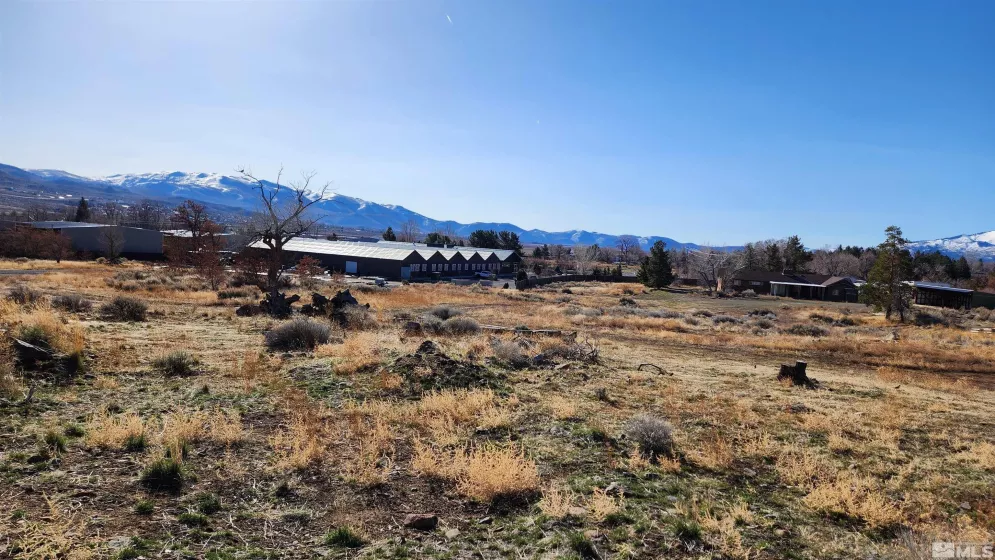 04608053 US Highway 395, Washoe Valley, Nevada 89704, ,Land,Residential,US Highway 395,240002096