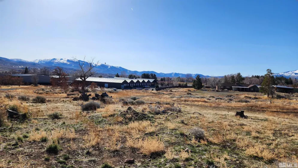 04608053 US Highway 395, Washoe Valley, Nevada 89704, ,Land,Residential,US Highway 395,240002096