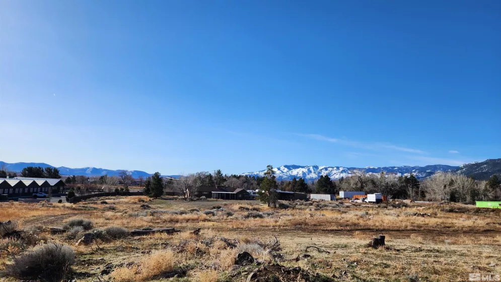 04608053 US Highway 395, Washoe Valley, Nevada 89704, ,Land,Residential,US Highway 395,240002096