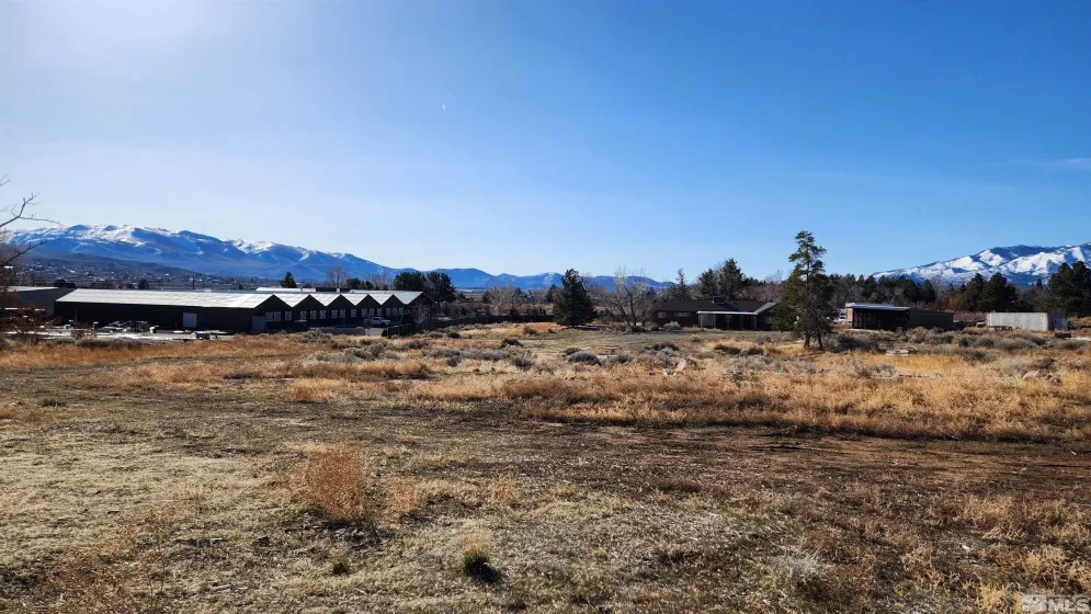 04608053 US Highway 395, Washoe Valley, Nevada 89704, ,Land,Residential,US Highway 395,240002096