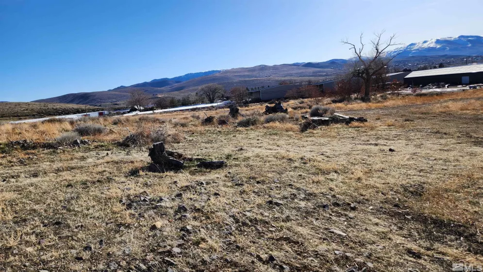 04608053 US Highway 395, Washoe Valley, Nevada 89704, ,Land,Residential,US Highway 395,240002096
