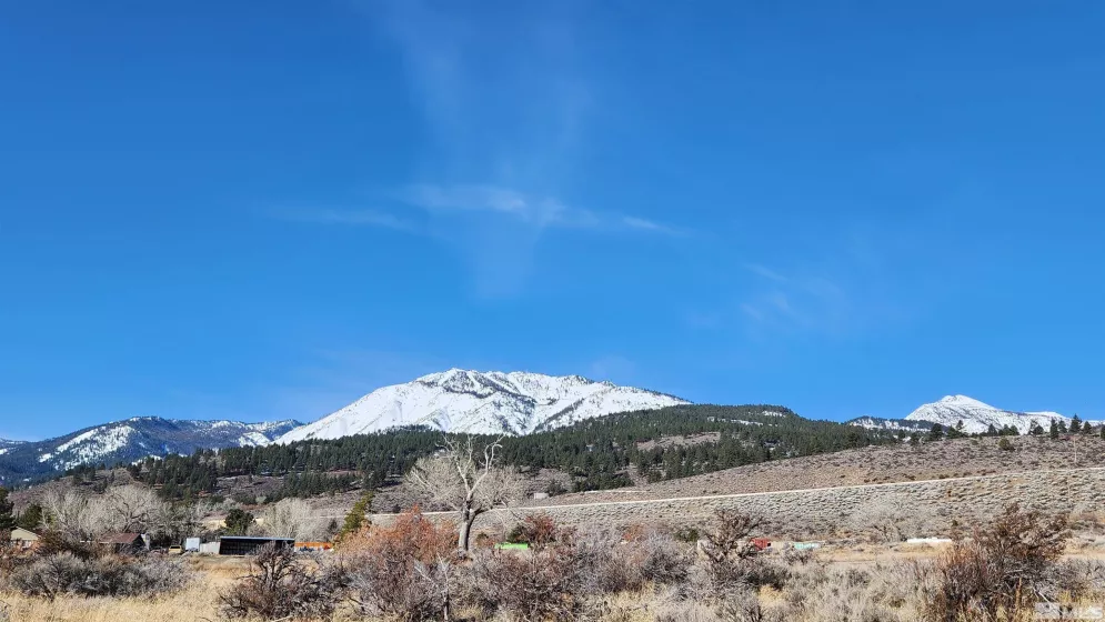 04608053 US Highway 395, Washoe Valley, Nevada 89704, ,Land,Residential,US Highway 395,240002096