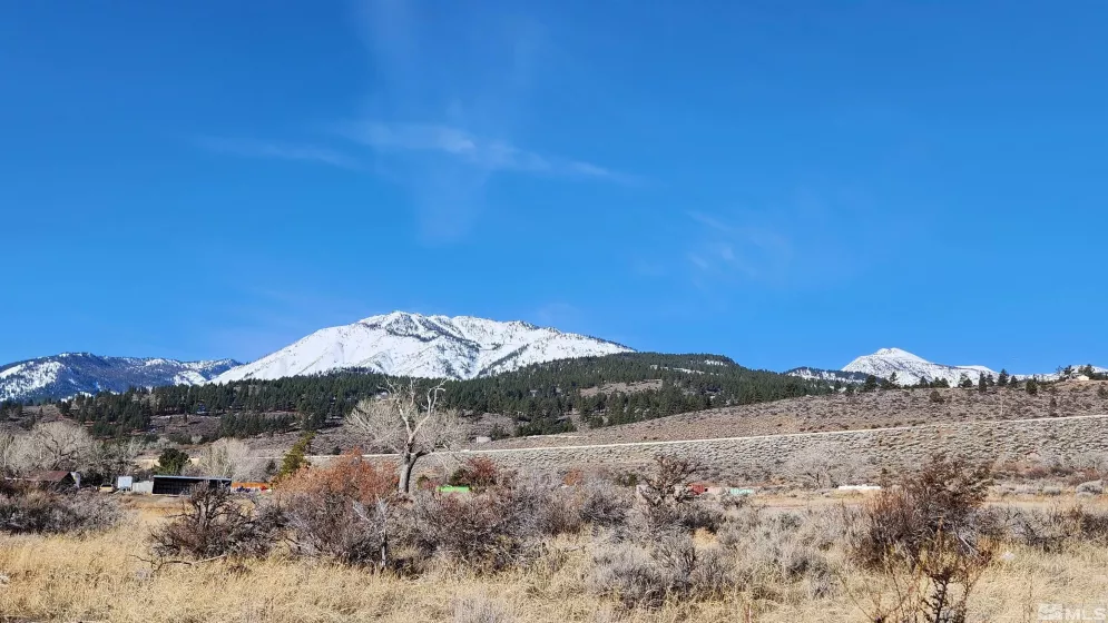 04608053 US Highway 395, Washoe Valley, Nevada 89704, ,Land,Residential,US Highway 395,240002096