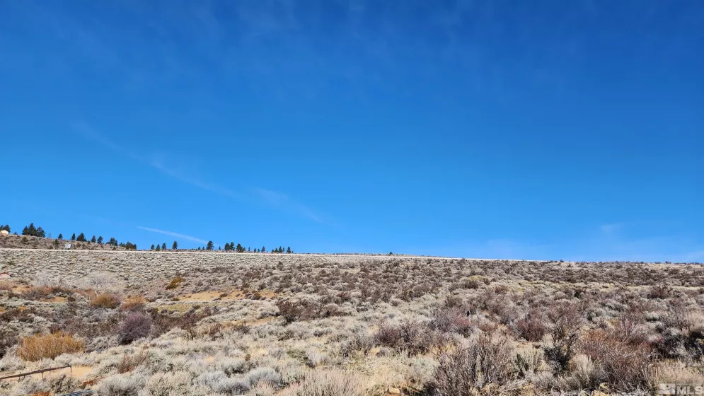 04608053 US Highway 395, Washoe Valley, Nevada 89704, ,Land,Residential,US Highway 395,240002096