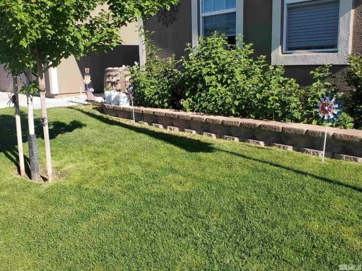 18821 Trinity Range, Reno, Nevada 89508, 4 Bedrooms Bedrooms, ,2 BathroomsBathrooms,Residential,Residential,Trinity Range,250003610