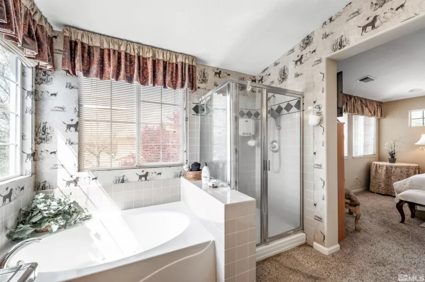 2233 San Remo, Sparks, Nevada 89434, 2 Bedrooms Bedrooms, ,3 BathroomsBathrooms,Residential,Residential,San Remo,250005701