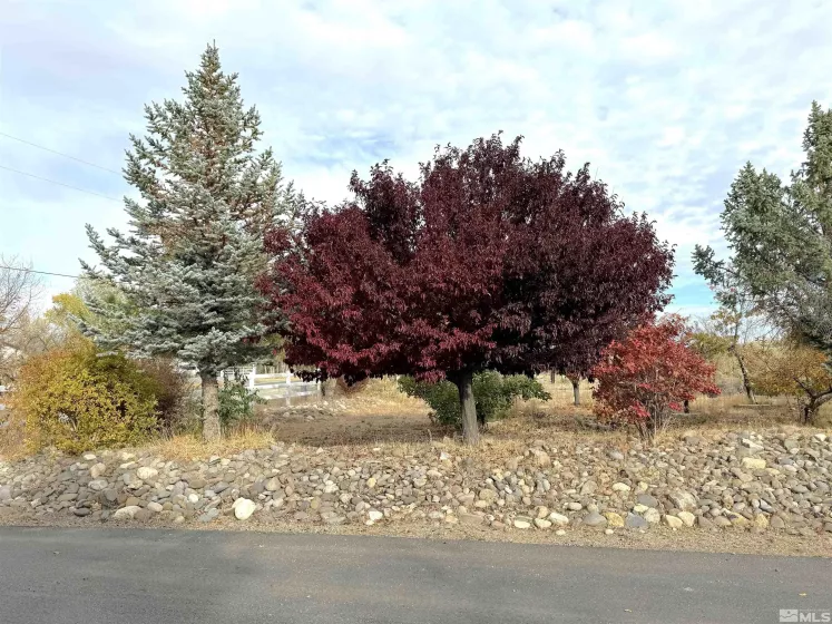1653 Sunrise Pass, Minden, Nevada 89423, 3 Bedrooms Bedrooms, ,3 BathroomsBathrooms,Residential,Residential,Sunrise Pass,240015613
