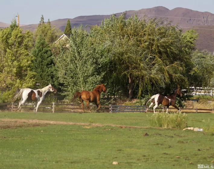 0 Lakeside, Reno, Nevada 89511, ,Land,Residential,Lakeside,250001142