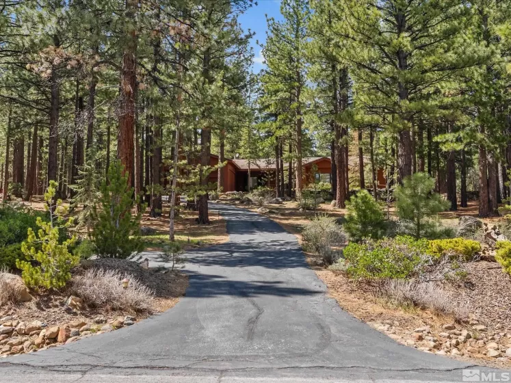 805 Yellow Pine, Reno, Nevada 89511, 3 Bedrooms Bedrooms, ,3 BathroomsBathrooms,Residential,Residential,Yellow Pine,250005528