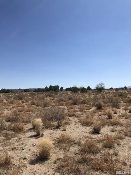 1720 Fir, Silver Springs, Nevada 89429, ,Land,Residential,Fir,220013890