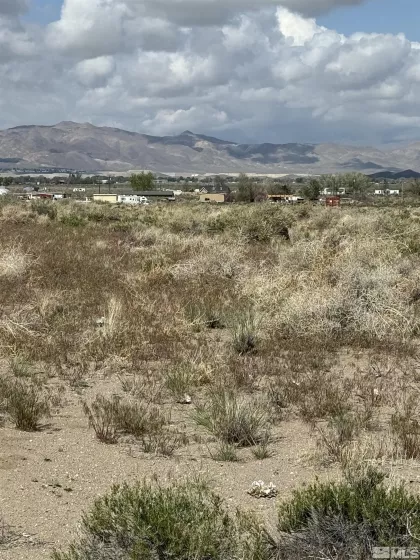 Thurston Way, Yerington, Nevada 89447, ,Land,Residential,Way,240013724