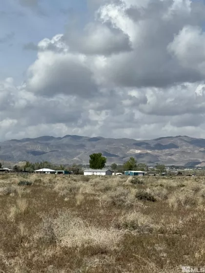 Thurston Way, Yerington, Nevada 89447, ,Land,Residential,Way,240013724