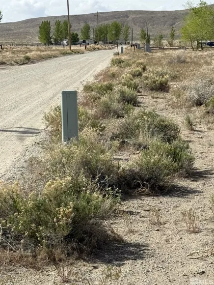Thurston Way, Yerington, Nevada 89447, ,Land,Residential,Way,240013724