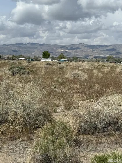 Thurston Way, Yerington, Nevada 89447, ,Land,Residential,Way,240013724