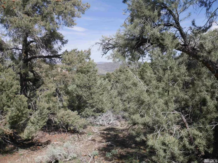 2165 Hermit, Reno, Nevada 89521, ,Land,Residential,Hermit,250005581