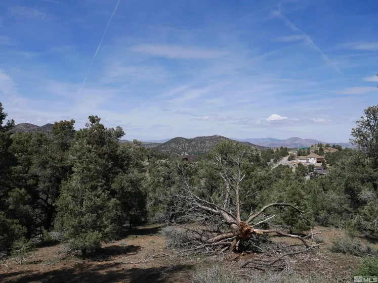2165 Hermit, Reno, Nevada 89521, ,Land,Residential,Hermit,250005581