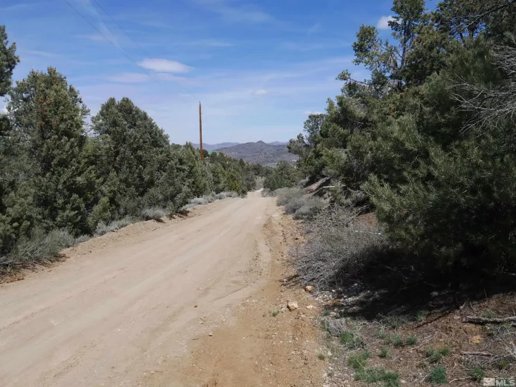 2165 Hermit, Reno, Nevada 89521, ,Land,Residential,Hermit,250005581